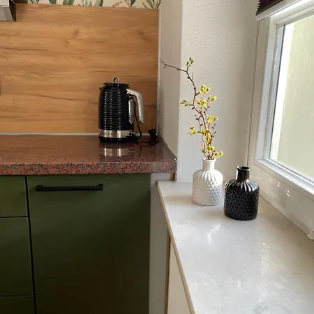 Lägenhet Miriquidi Annaberg-Buchholz